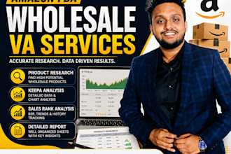 provide amazon fba wholesale VA services