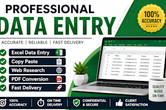 do accurate data entry, excel data entry, copy paste and web research