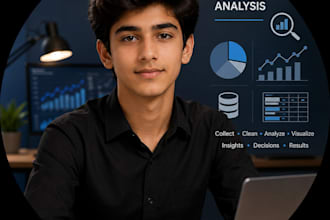 professional data analysis, excel reports and data visualization