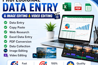do accurate data entry,copy paste,web research,microsoft excel and pdfconversion
