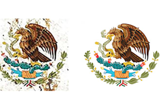 manual vector tracing, vectorize services
