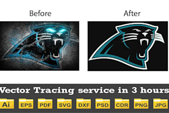 manual vector tracing, vectorize services