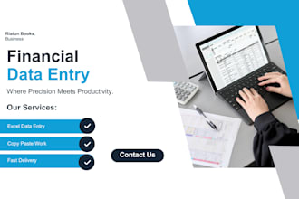 do professional financial data entry and excel data entry