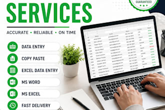 do accurate data entry in excel and google sheets
