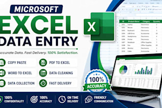 do accurate microsoft excel data entry professionally