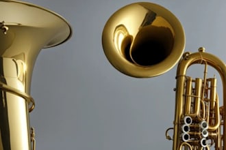 record trumpet, cornet, flugelhorn, euphonium,tuba, french horn and trombone