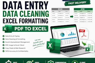do data entry, data cleaning excel formatting
