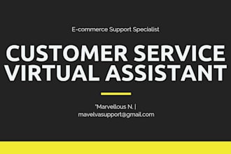 provide professional customer service support for your ecommerce store