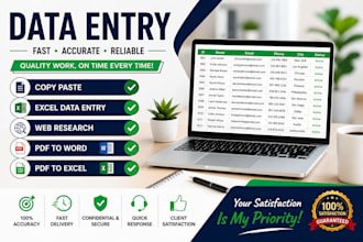 do data entry, copy paste, excel data entry