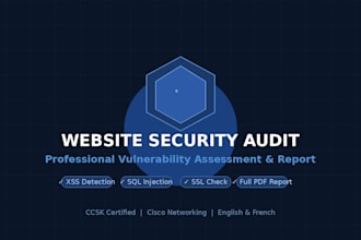 audit your website security and deliver a vulnerability report