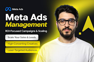 create and manage meta ads that are ROI focused