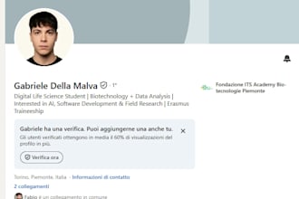 translate documents and texts