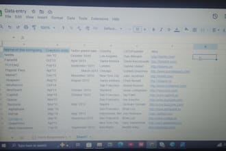 excel data entry, google sheets, and copy paste tasks