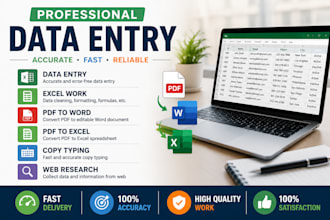 do professional data entry, copy typing and excel work