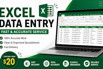 do excel data entry and spreadsheet organization