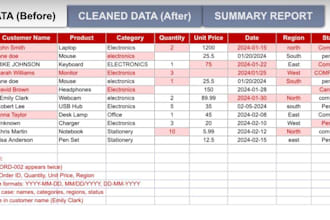 do data cleaning, formatting, sort, filter, csv to excel