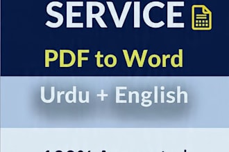 accurately type urdu english data and PDF to word transcription
