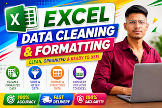 do professional excel data cleaning and formatting
