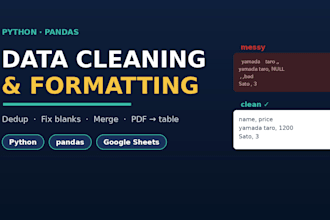 clean format and organize your messy data with python