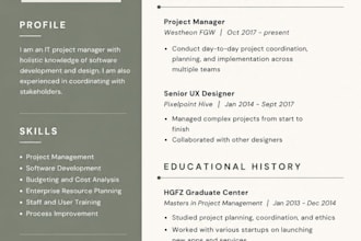 create a professional CV and resume design