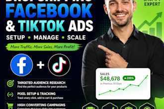 create and manage shopify dropshipping facebook and tiktok ads