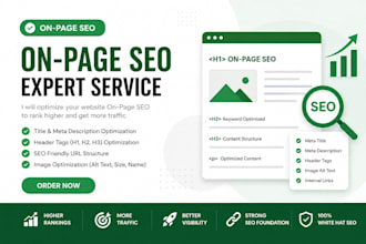 do professional website audit and on page SEO optimization