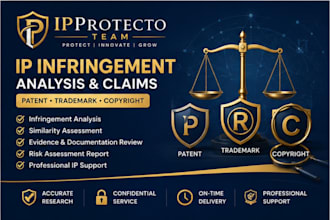do patent trademark and copyright infringement report  analyze risks and claims
