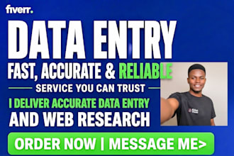 do data entry, excel data cleaning, formatting, and web research
