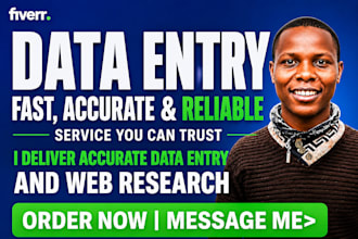 do data entry, excel data cleaning, formatting, and web research