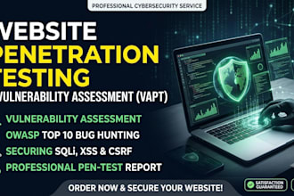 do website penetration testing and vulnerability assessment, vapt