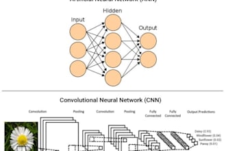 build a CNN model for image classification using python