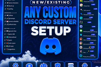 setup a professional custom discord server