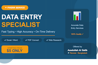 do fast data entry with high accuracy and quick delivery