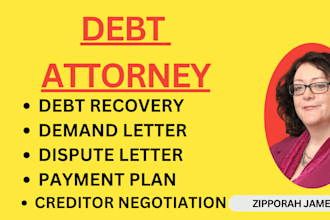 handle debt collection disputes, credit report issues, and consumer violations