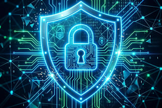 perform professional penetration testing on your website