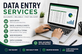 do accurate data entry, typing and copy paste work
