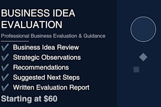 assess your business and provide strategic recommendations
