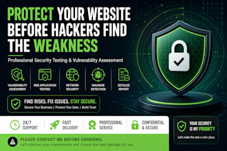 perform owasp penetration testing and security assessment