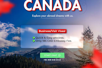 design professional flyers, political posters and social media graphics