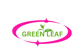 do professional logo design and brand identity using canva