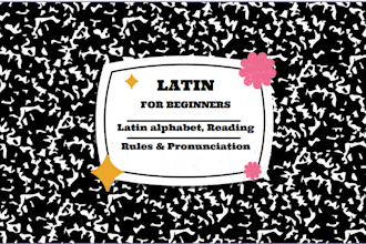 provide premium latin grammar and alphabet visual flashcards