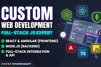 develop professional full stack websites as a team