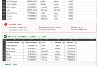 clean, format and organize excel data professionally
