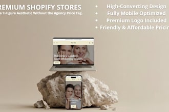 build a premium shopify store
