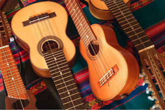 record banjo, mandolin, harp, violin, viola, double bass, guitar, sarod, erhu