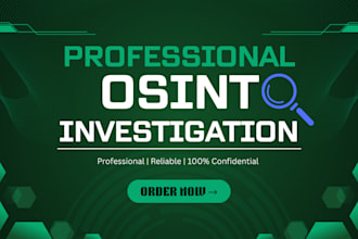 perform osint investigation background check and digital intelligence