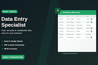 do professional excel data entry, data cleaning, and copy paste work
