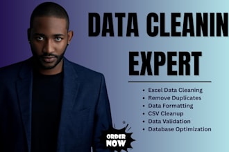 clean, organize, and optimize your excel, CSV, and database data