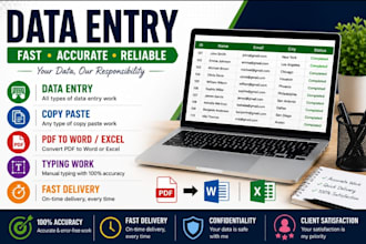 do data entry, copy paste, typing and PDF to word excel work