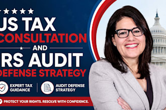 provide US tax consultation and irs audit defense strategy
